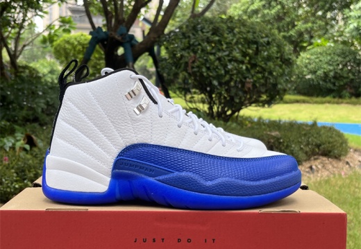 Air Jordan 12 Blueberry CT8013-140 40-47.5 M126